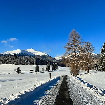 Vila Chalet Am Teich Familie Gaenser Feistritz am Kammersberg Exteriér fotografie