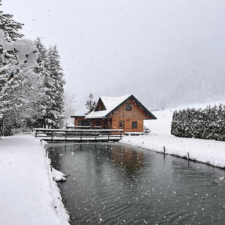 Vila Chalet Am Teich Familie Gaenser Feistritz am Kammersberg Exteriér fotografie
