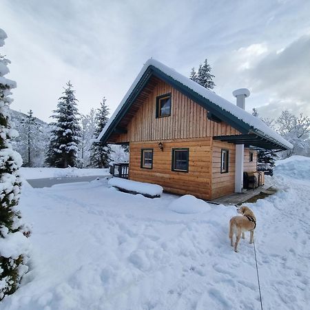 Vila Chalet Am Teich Familie Gaenser Feistritz am Kammersberg Exteriér fotografie