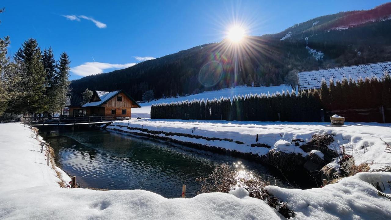 Vila Chalet Am Teich Familie Gaenser Feistritz am Kammersberg Exteriér fotografie