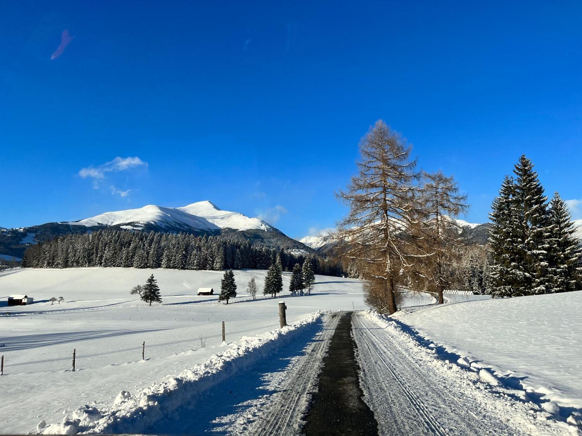 Vila Chalet Am Teich Familie Gaenser Feistritz am Kammersberg Exteriér fotografie
