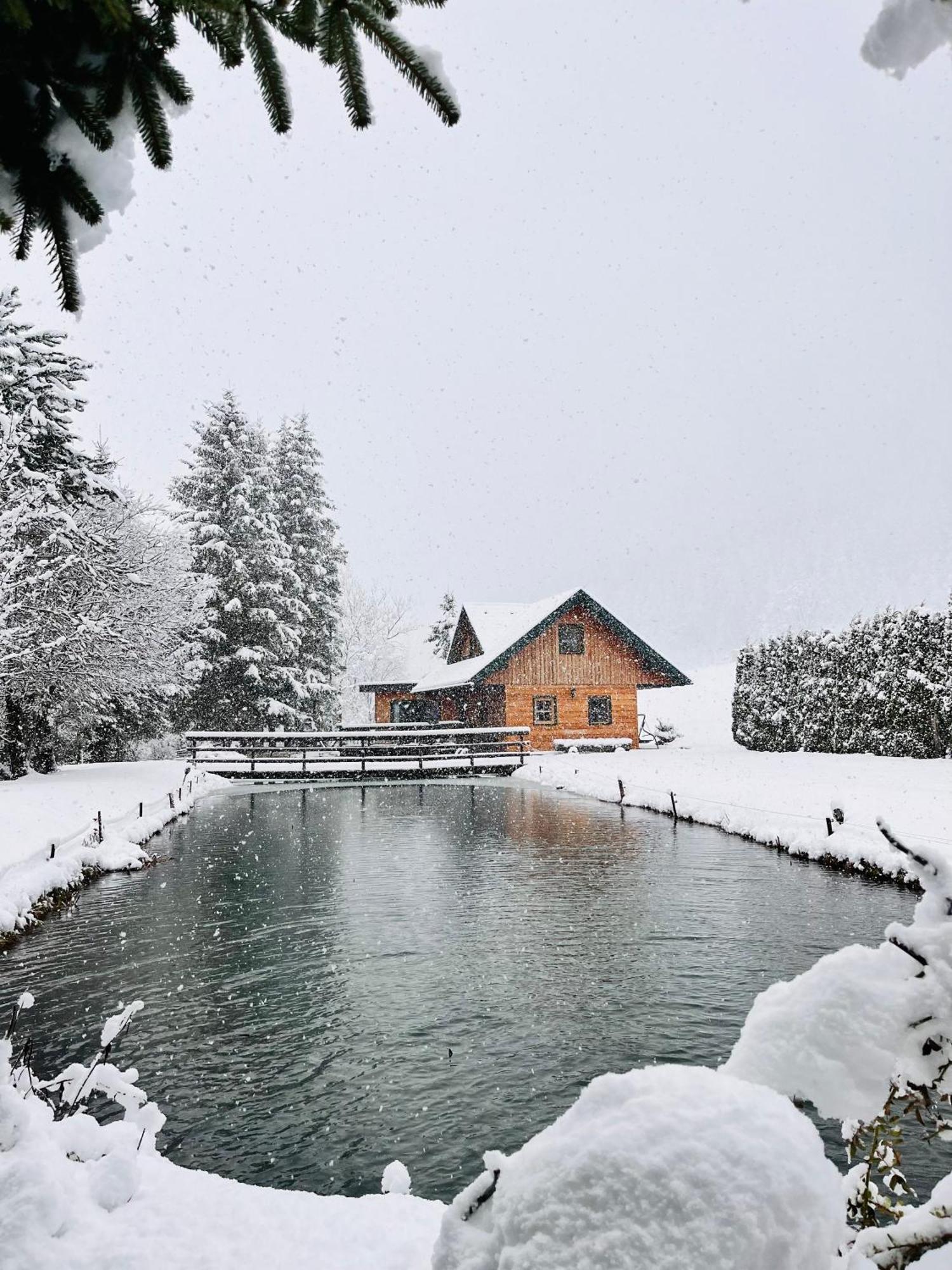 Vila Chalet Am Teich Familie Gaenser Feistritz am Kammersberg Exteriér fotografie