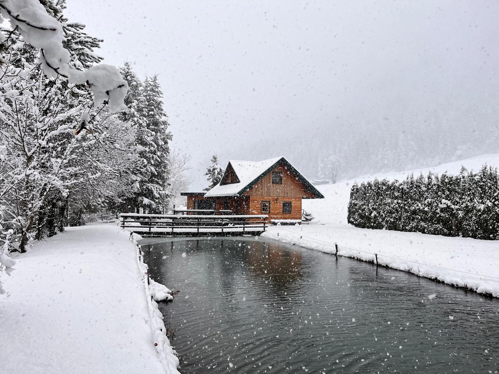 Vila Chalet Am Teich Familie Gaenser Feistritz am Kammersberg Exteriér fotografie