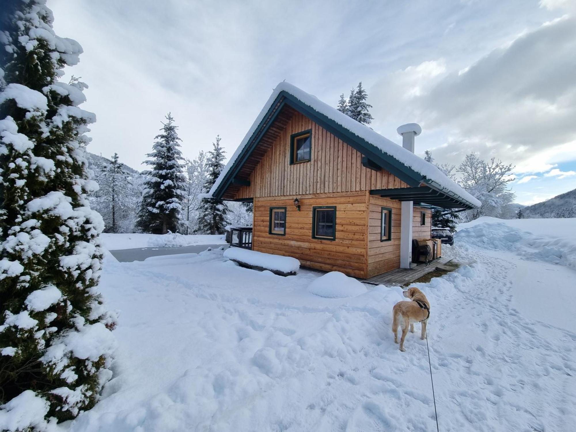 Vila Chalet Am Teich Familie Gaenser Feistritz am Kammersberg Exteriér fotografie